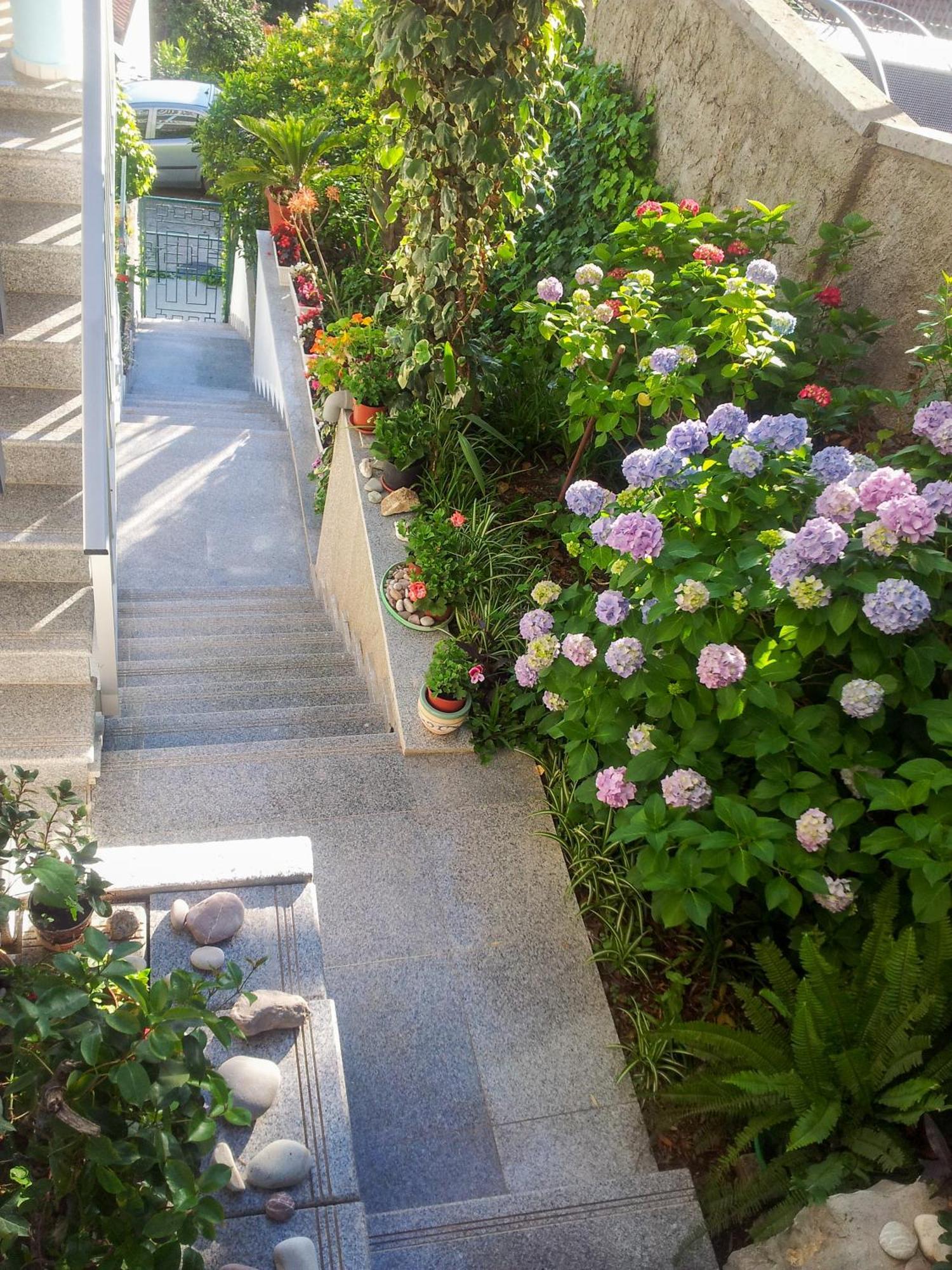 Panorama Apartments บุดวา ภายนอก รูปภาพ